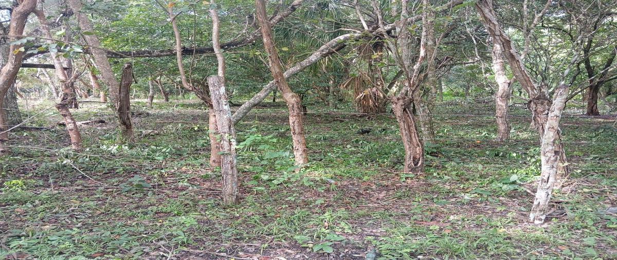 Foto de terreno habitacional en venta en  , aarón merino [colonia], bacalar, quintana roo, 0 No. 05